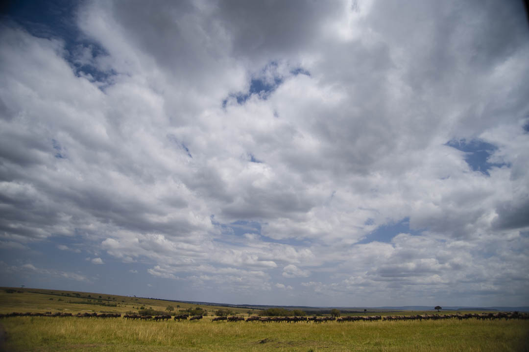 Maasai Mara — Evening geometry
